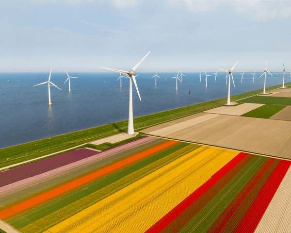 Busreis Nederland & Tulpenroute | Flamingo-busvakanties.be